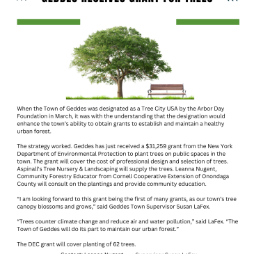 Geddes Receives Grant for Trees