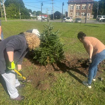 Tree Planting by Geddes Tree Committee