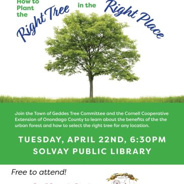 Tree Planting Info Session